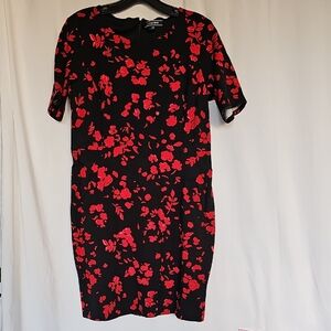 Lands' End Black and Red Floral Mini Dress